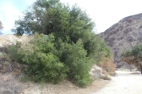 Vast 500-Acre Ranch Land