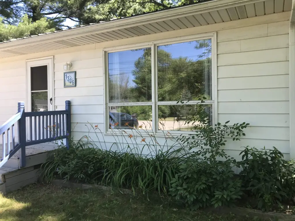 Picture 5