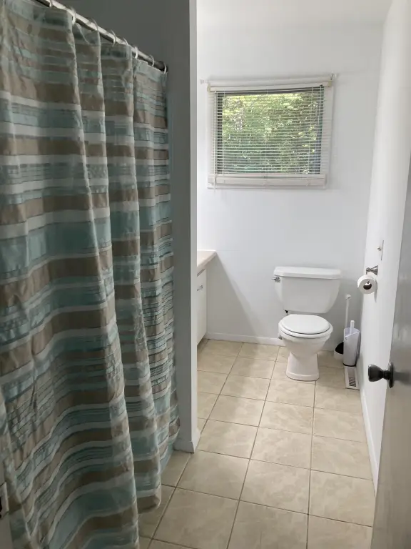 Picture 24