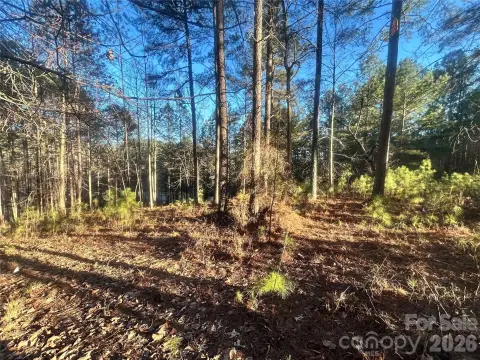 Wooded Lot in Anchor's Landing