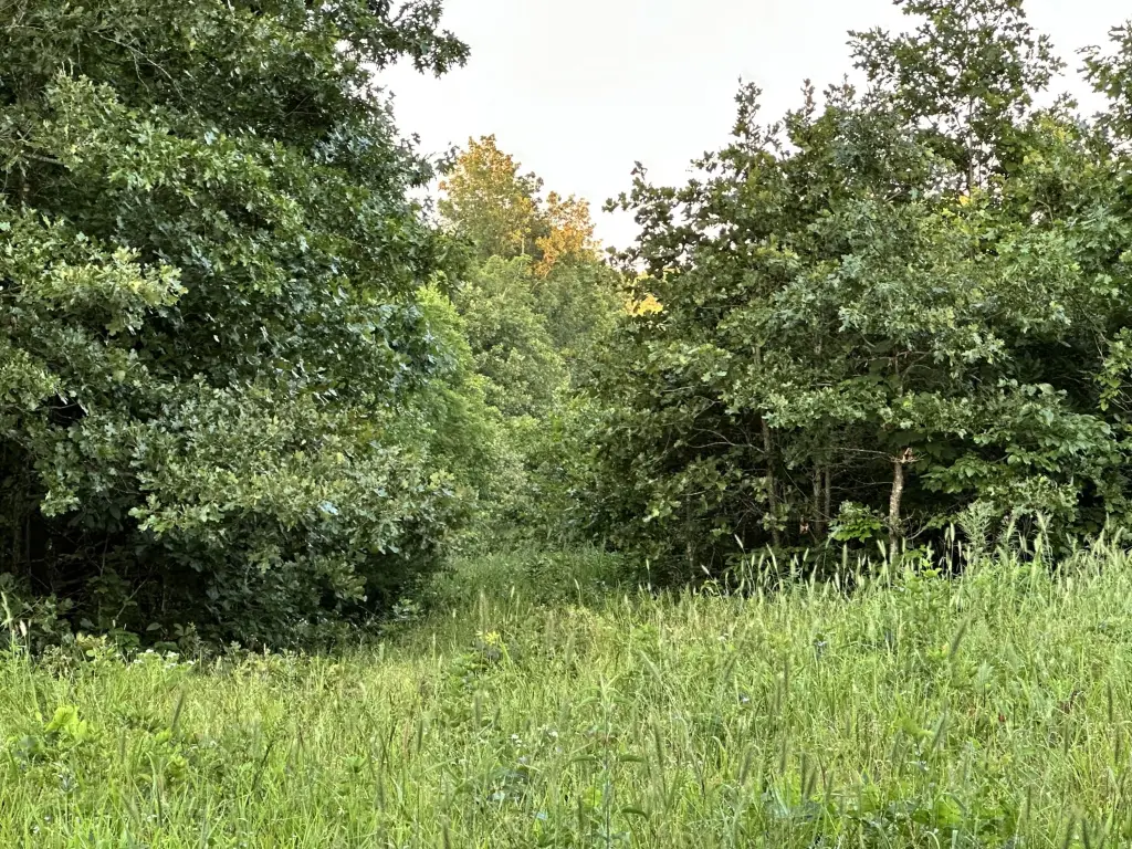 Picture 29