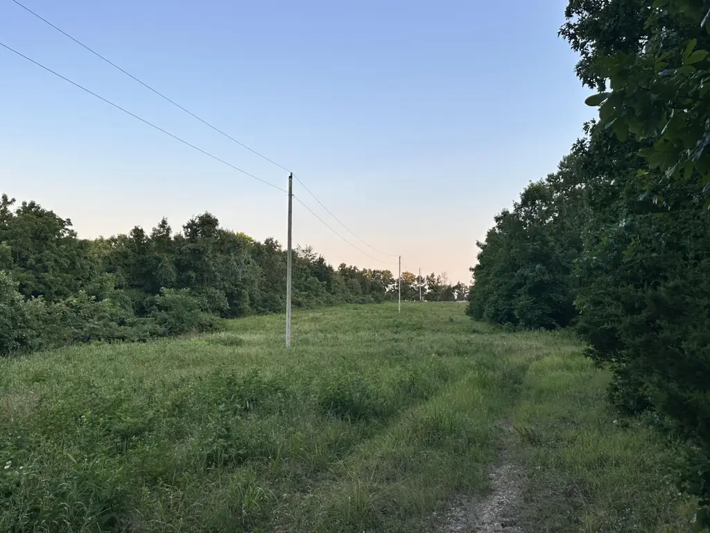 Picture 25