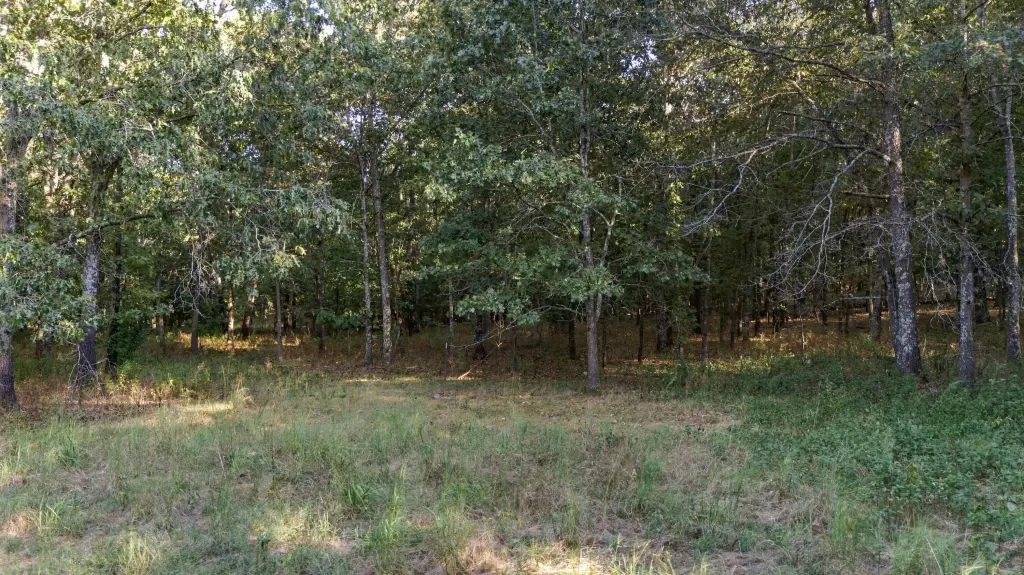 Picture 21