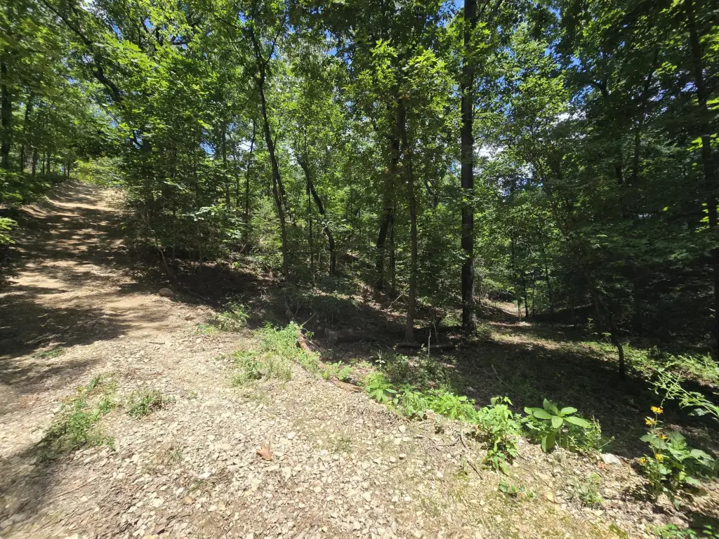 Picture 6