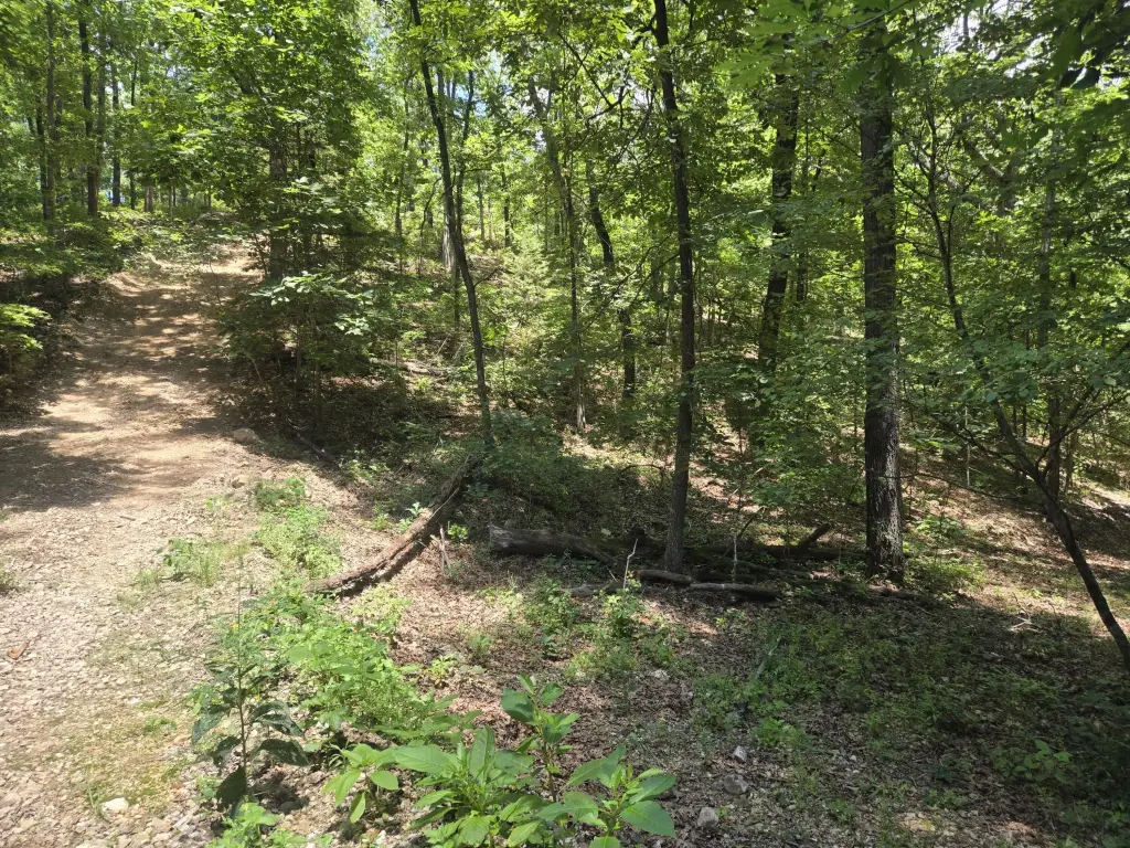 Picture 5