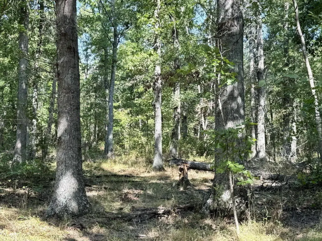 Picture 39