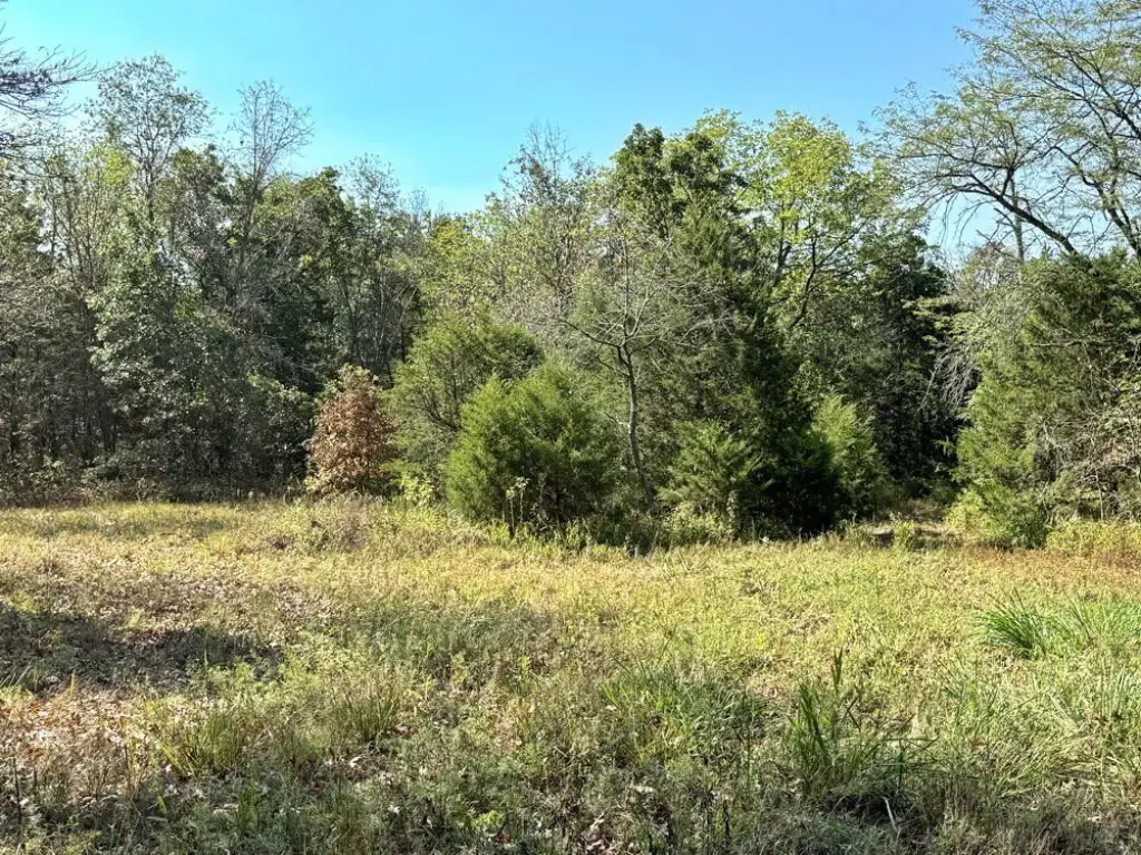 Picture 22