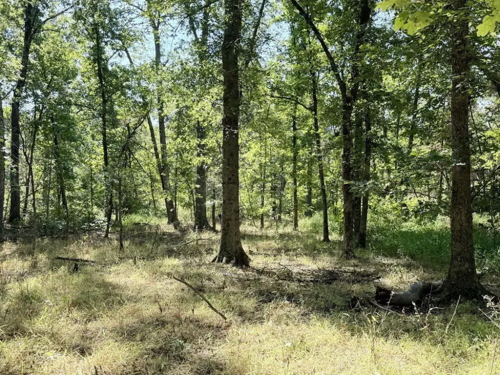 Picture 38