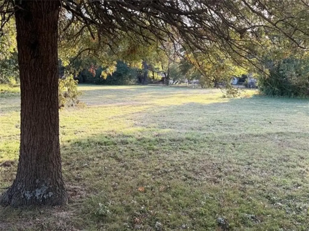 Picture 4