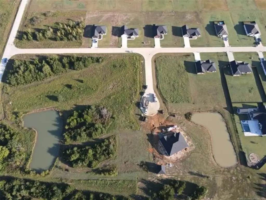 Picture 9