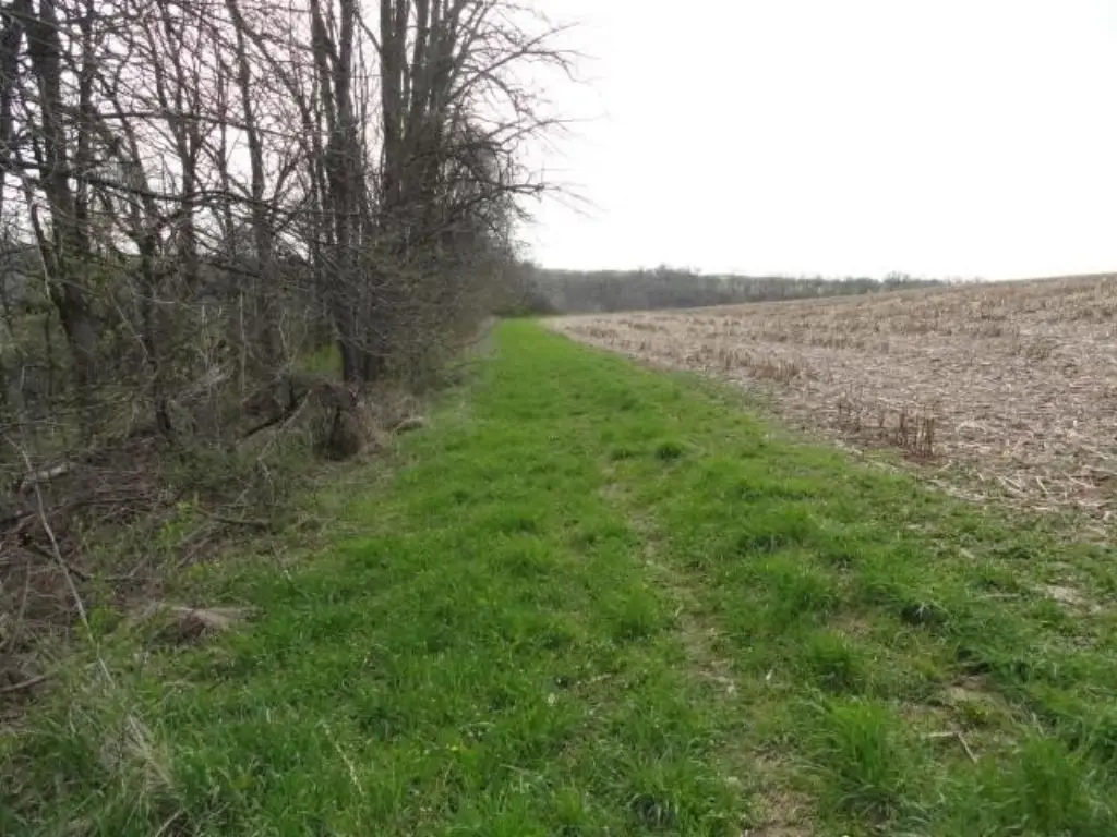 Picture 37