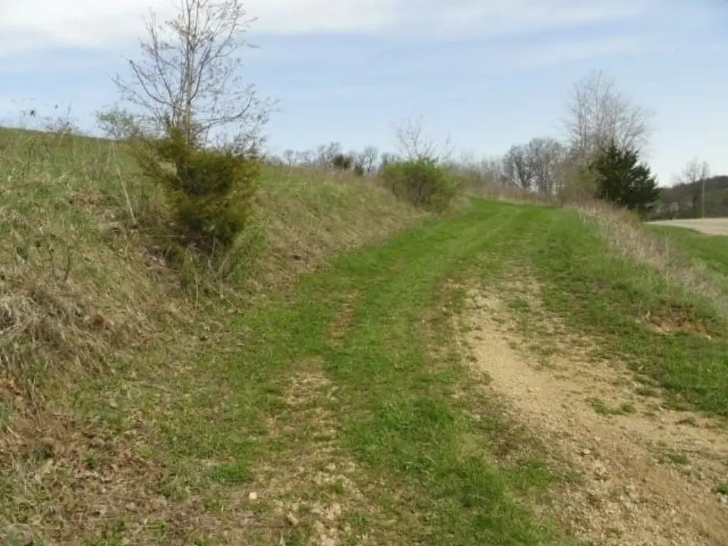 Picture 22