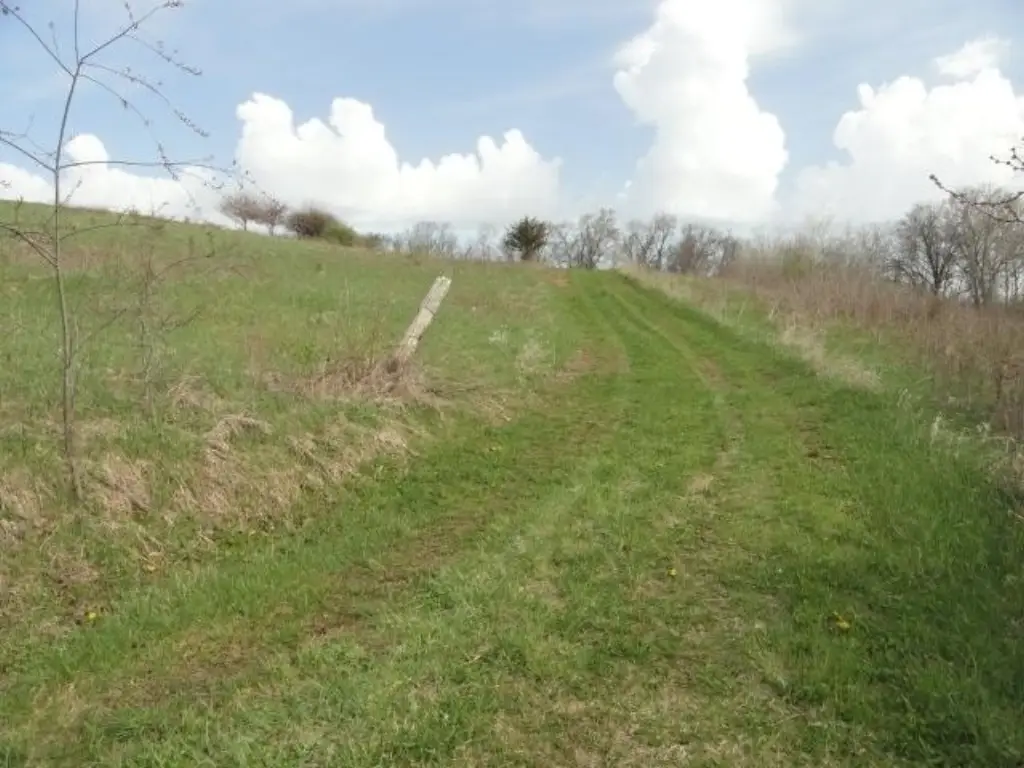 Picture 23
