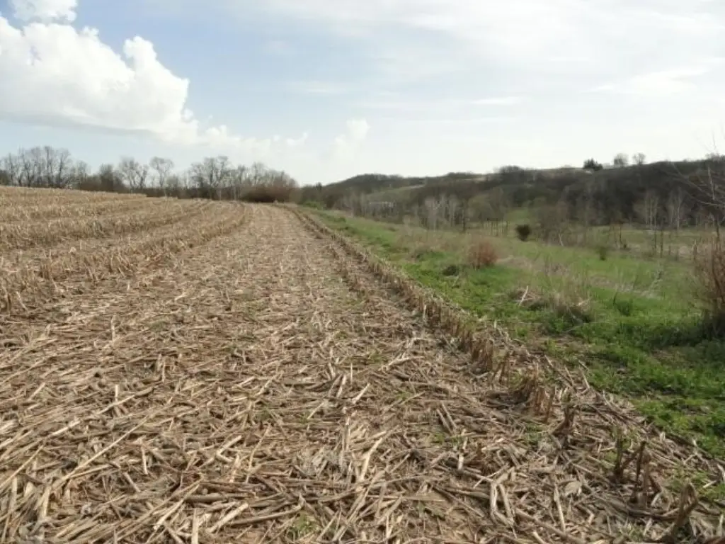 Picture 42