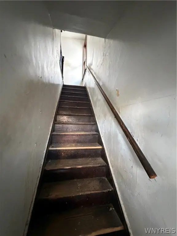 Picture 6