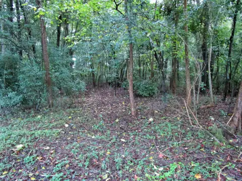 Residential Land Near Downtown Beaufort
