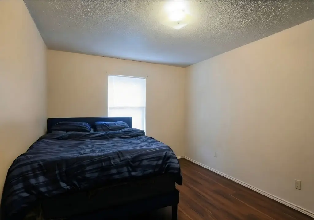 Picture 16