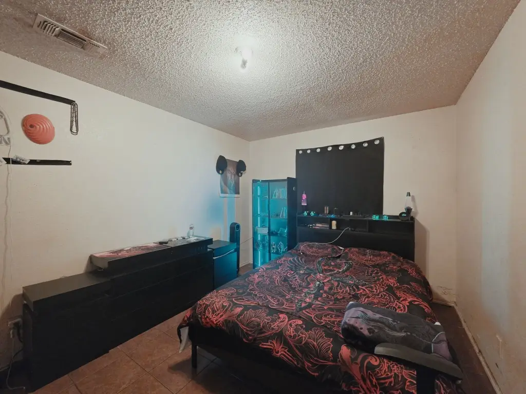 Picture 17