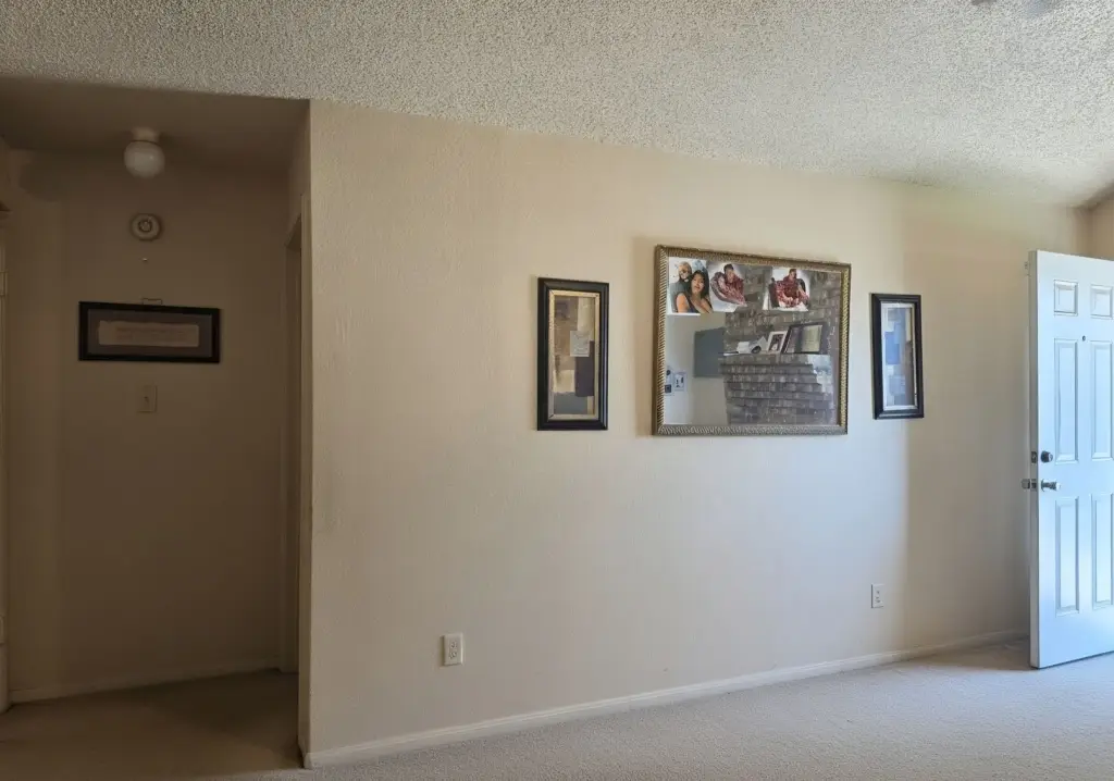 Picture 19