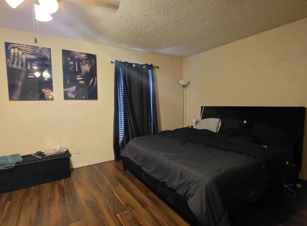 Picture 16