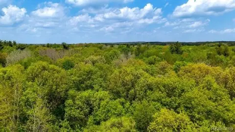 32 Acres of Wooded Land