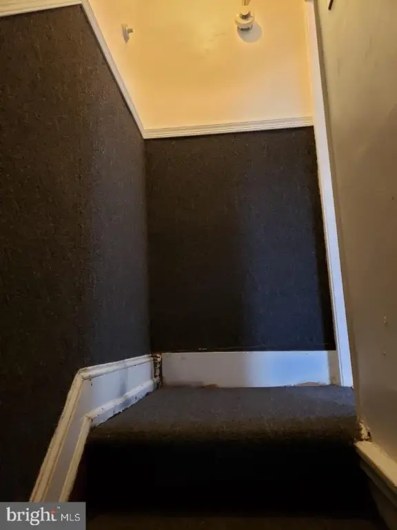 Picture 24