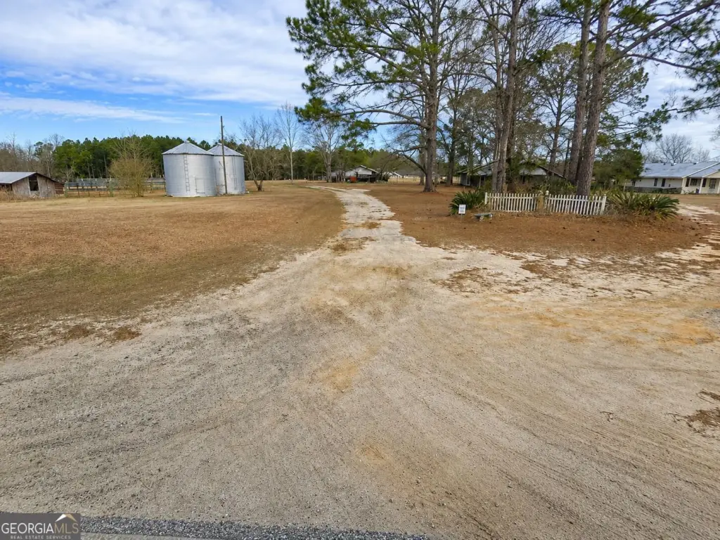 Picture 5