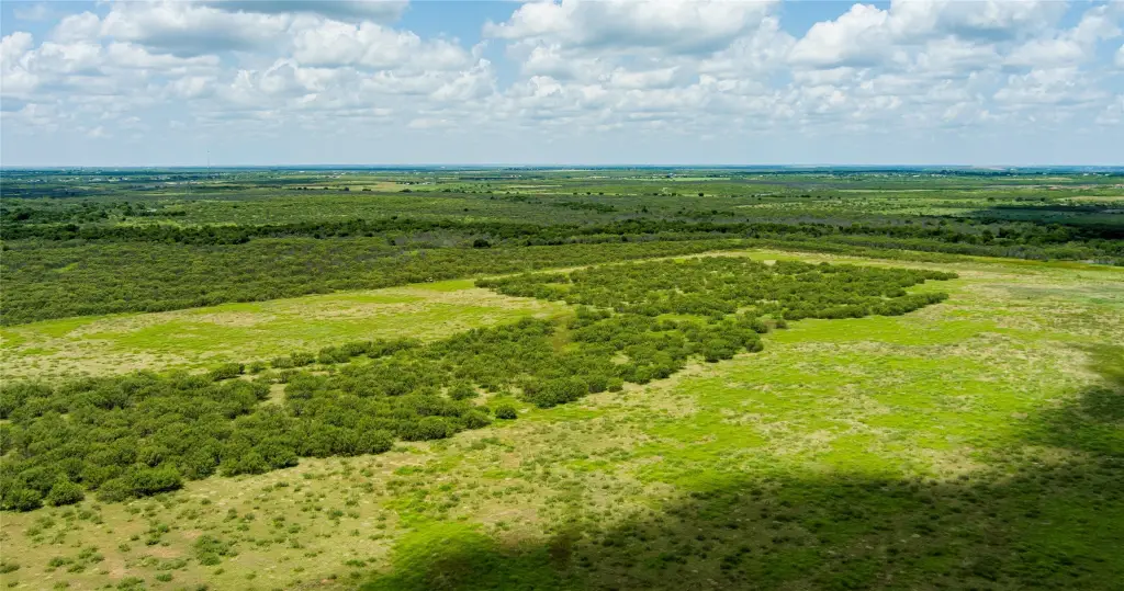 Picture 23