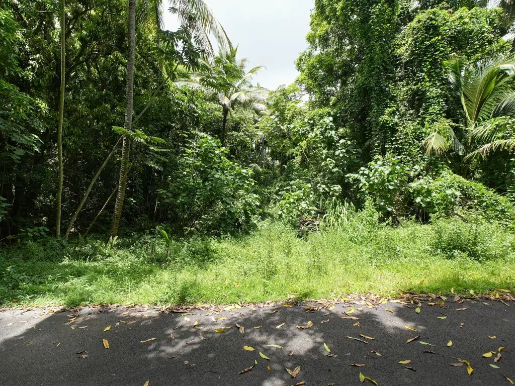 Picture 4