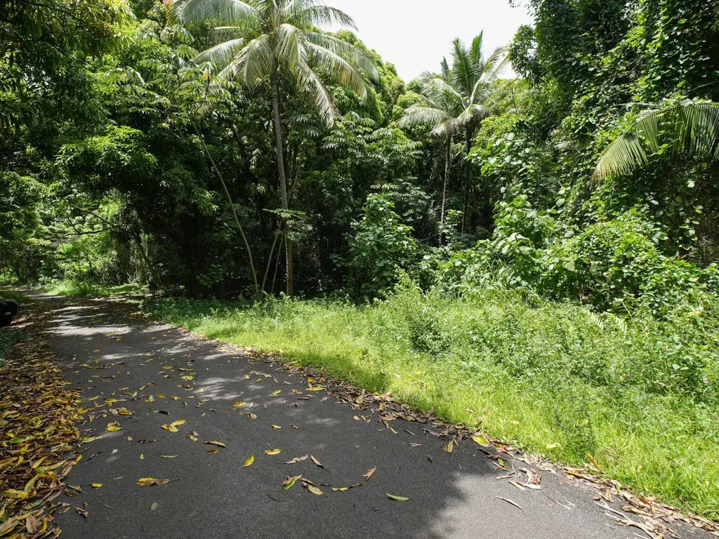 Picture 5