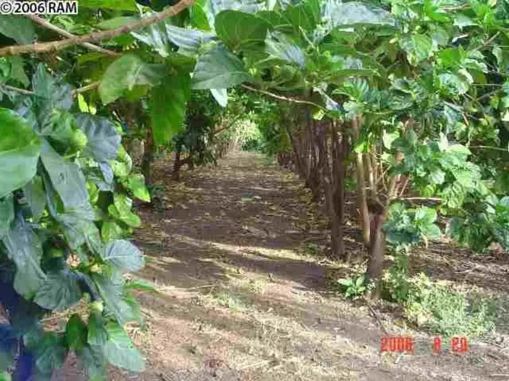Picture 10