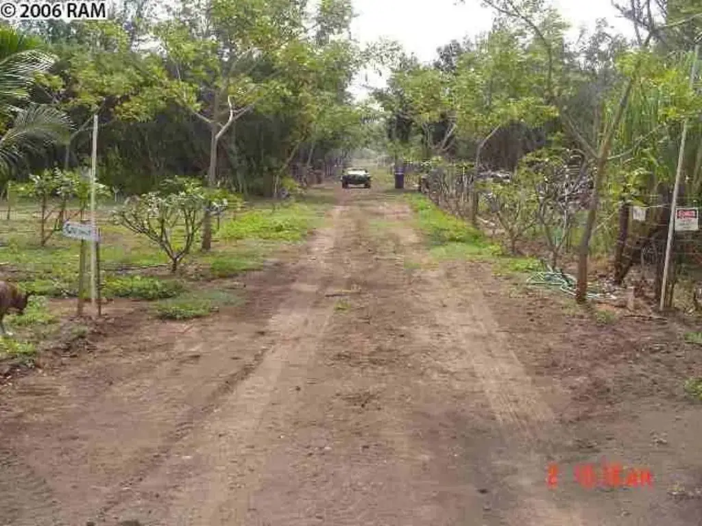 Picture 11