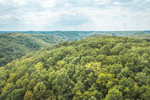 40-Acre Hunting Land