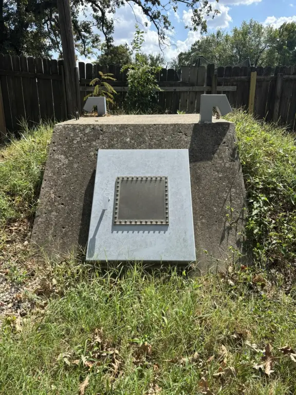 Picture 20