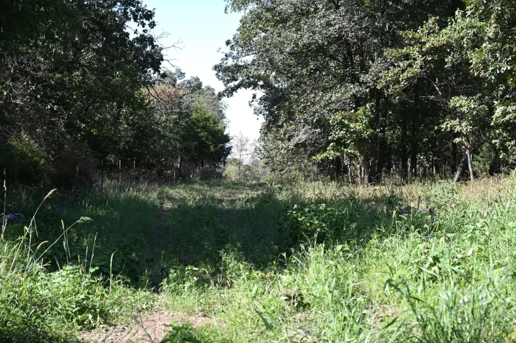 Picture 8