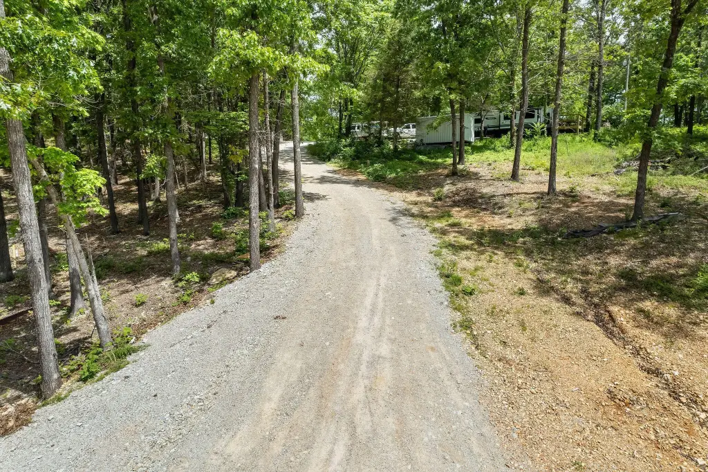 Picture 5