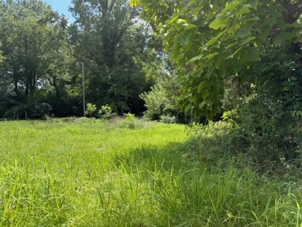 Picture 2