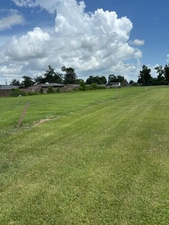 Picture 2