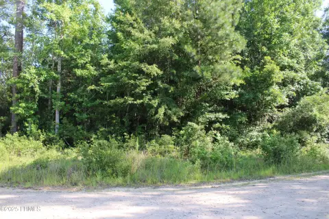 Hampton, SC Land Parcel