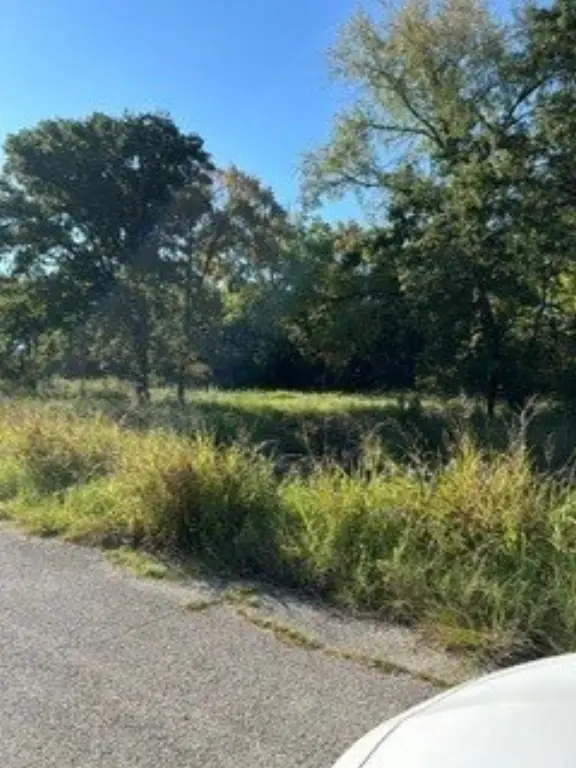 Picture 4