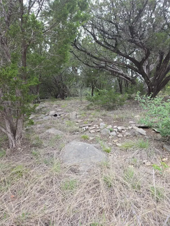 Picture 14