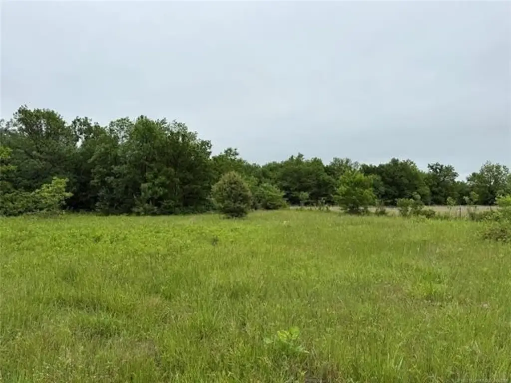 Picture 11
