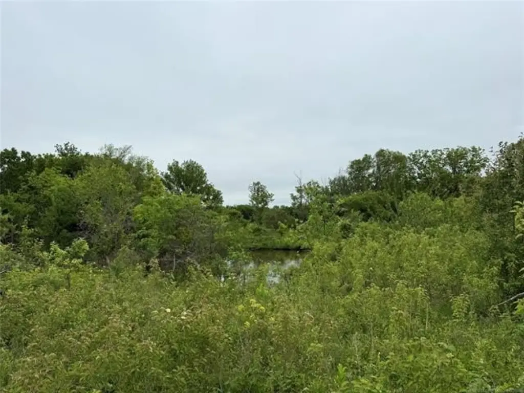 Picture 9