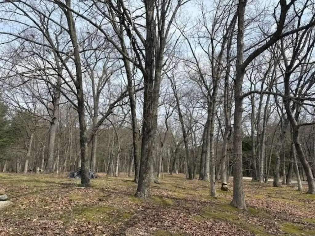 Picture 13