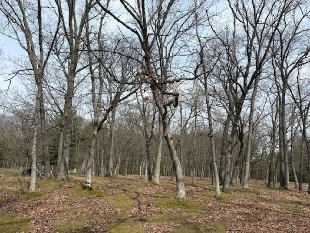 Picture 14