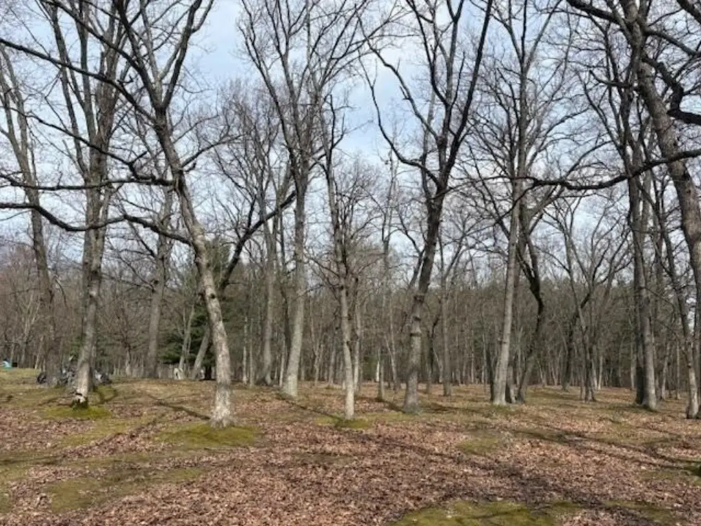 Picture 17