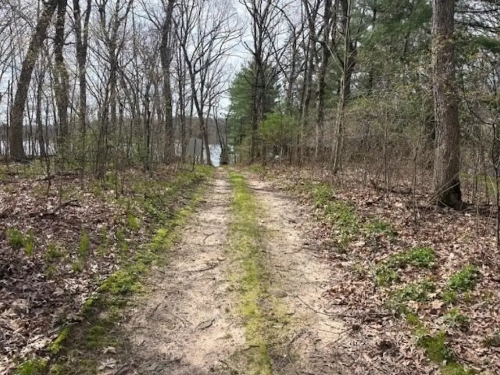 Picture 18