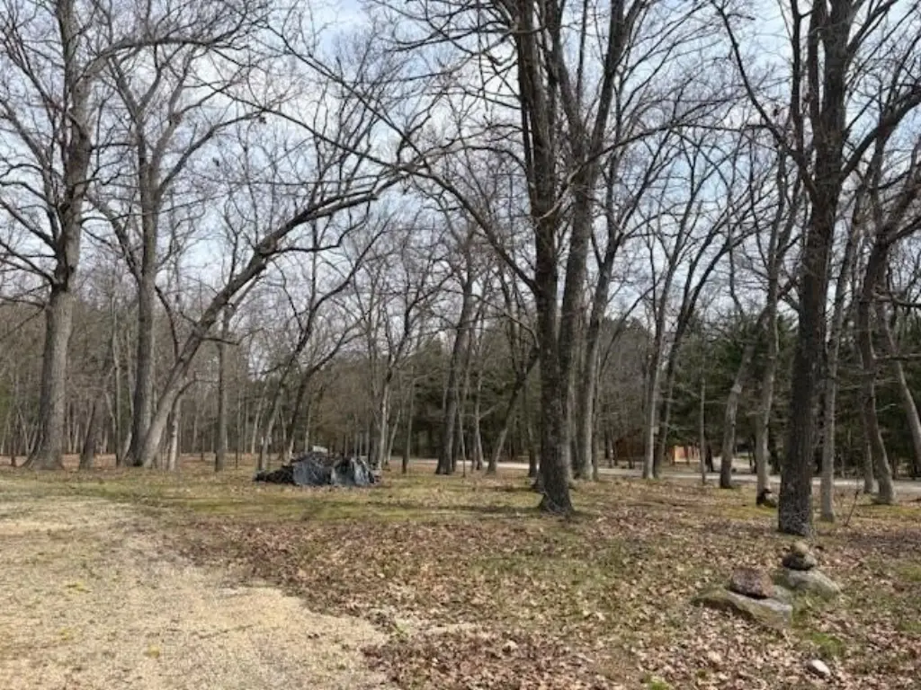 Picture 4