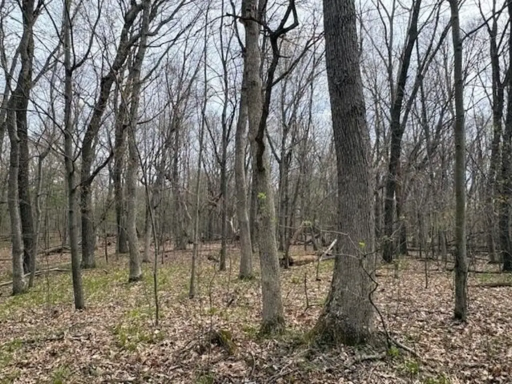 Picture 24