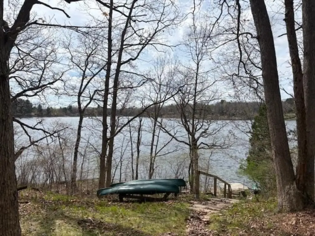 Picture 8